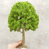 Popxstar 12cm Wire Tree Model Miniature Landscape Green Tree Decoration Mountain Sand Table DIY Material Scale Model Train Railway Layout