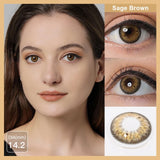 Popxstar 1 Pair Natural Colored Contact Lenses Gray Eye Lens Brown Contacts Beauty Pupils Makeup Color Lens With Free Lens Case