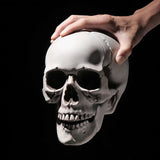 Popxstar All Size Human Skull Head Skeleton Halloween Style Photo Prop Home Party Decor Game Supplies