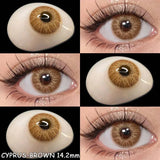 Popxstar 2pcs New Colored Contacts Lenses Natural Blue Lense Brown Eye Contacts Lenses Yearly Use Fashion Lenses Beauty Pupils