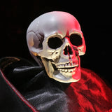 Popxstar All Size Human Skull Head Skeleton Halloween Style Photo Prop Home Party Decor Game Supplies