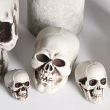 Popxstar All Size Human Skull Head Skeleton Halloween Style Photo Prop Home Party Decor Game Supplies