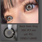 Popxstar 1 Pair Contact Lenses With Diopters Korean Lenses Natural Contact Lenses Gray Lense Y2k Lenses Myopia Contact Lens