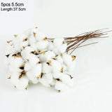 Popxstar Valentine's Day Naturally Dried Cotton Flowers Artificial Plants Floral Branch for Wedding Party Home Decoration Fake Flowers DIY Wreath Garland