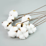 Popxstar Valentine's Day Naturally Dried Cotton Flowers Artificial Plants Floral Branch for Wedding Party Home Decoration Fake Flowers DIY Wreath Garland