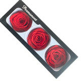 Popxstar Immortality Rose Head Real Flower Preserved Flowers Valentines Decoration Rose In Box Diameter 6-7cm Roses