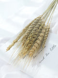 Popxstar New Year Valentine's Day Natural Barley Wheat Ears Lampranthus Rabbit Tail Grass Photography Accessories Photo Studio Props Background Backdrop Ornament