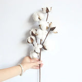 Popxstar Valentine's Day Naturally Dried Cotton Flowers Artificial Plants Floral Branch for Wedding Party Home Decoration Fake Flowers DIY Wreath Garland