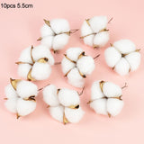 Popxstar Valentine's Day Naturally Dried Cotton Flowers Artificial Plants Floral Branch for Wedding Party Home Decoration Fake Flowers DIY Wreath Garland