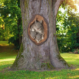 Popxstar Squirrel Tree Hugger Yard Art Outdoor Tree Hole Statues Tree Face Decor Novelty Garden Decoration Outdoor Yard Art Sculpture