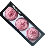 Popxstar Immortality Rose Head Real Flower Preserved Flowers Valentines Decoration Rose In Box Diameter 6-7cm Roses